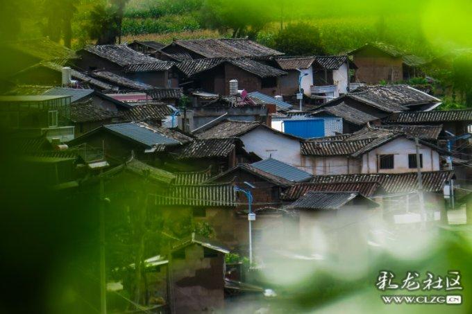 怎么联系竞技宝客服