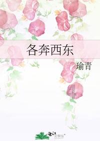 加入小米首发硅氧负极电池,这款电池会带来哪些好处?知识星球,共创学习新未来