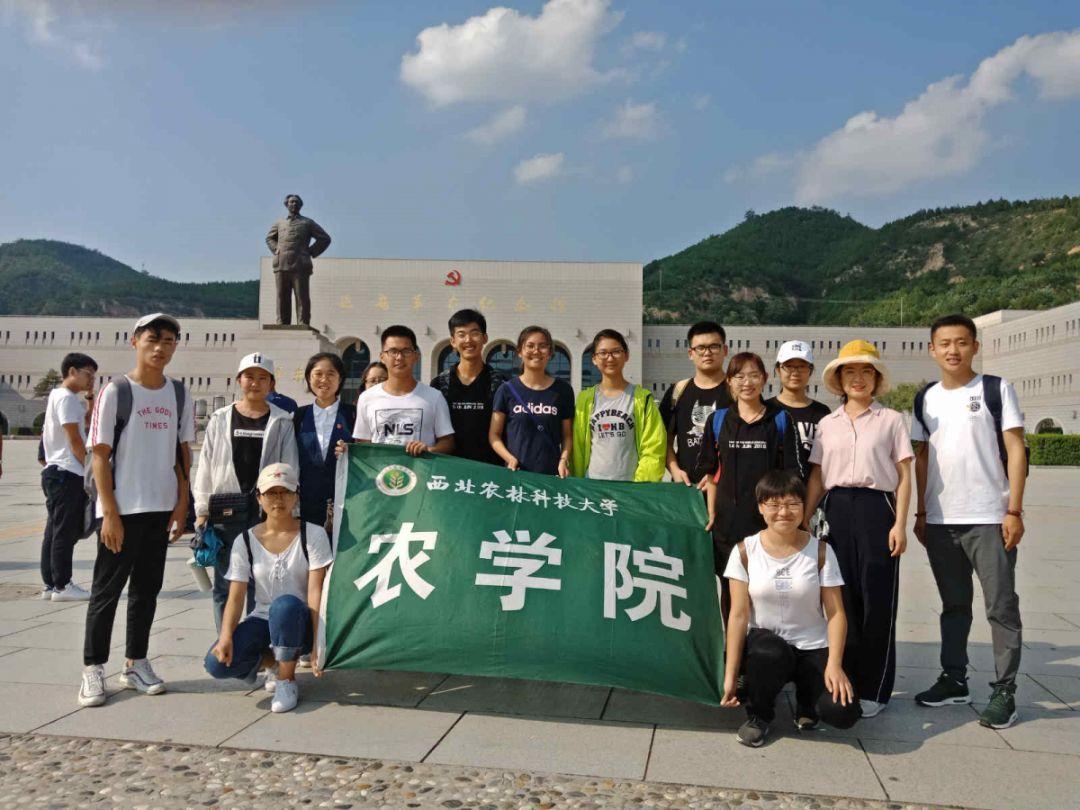 机智问答网页-快速解答你的问题-如何在三个月内将六级从300多分提高到500多分?